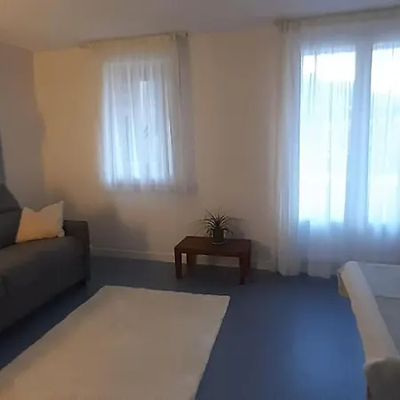 Bielle, Grand Appartement 38M2, Piscine, 4 Pers, Couchages 160X200 Exterior photo
